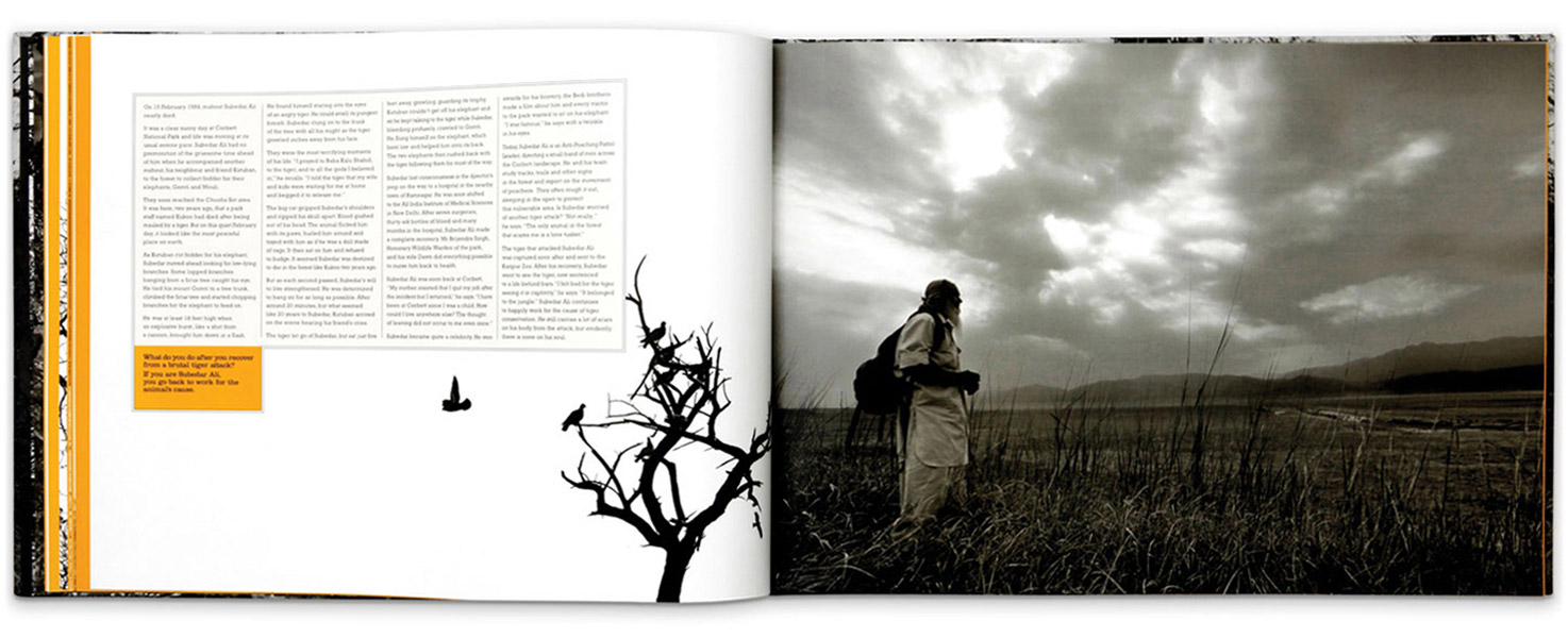 08_book.wwf.forestguard.landscape.corbettnationalpark.jpg
